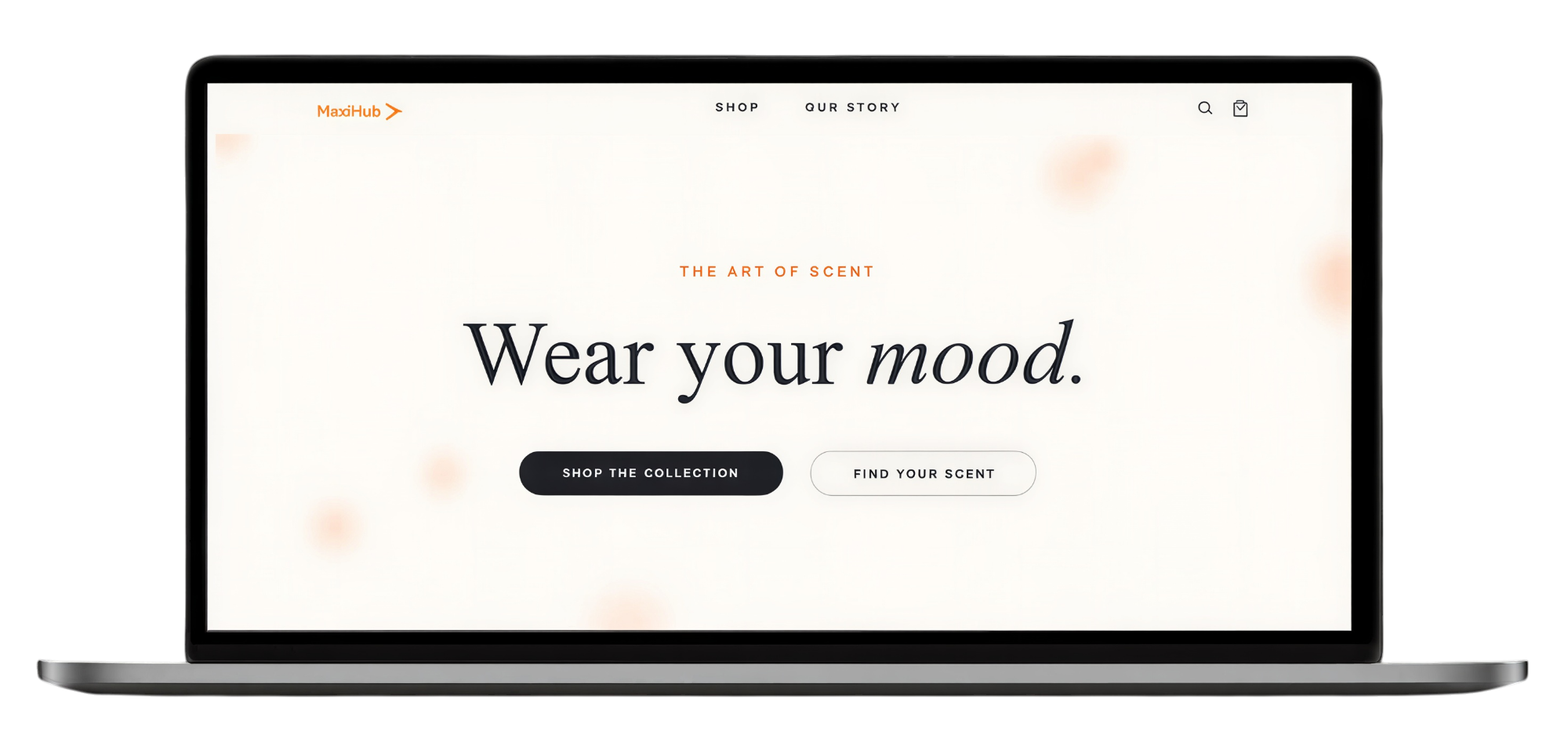 Maxi-Hub Fragrance image on a laptop